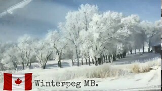 Winter Drive In Winnipeg MB.