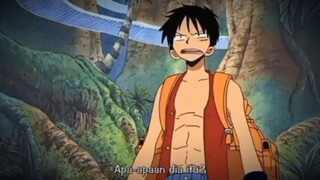 Gak jadi saf gara² luffy