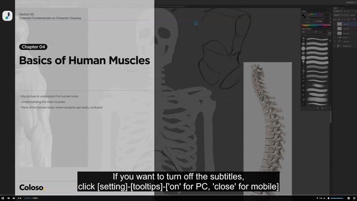 04. Basics of Human Muscles