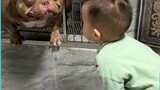 Pit bull and a young boy