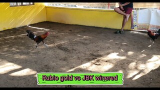 Rubio gold and JBk winered with bottom