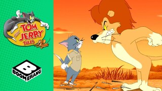 Tom & Jerry Go to Africa | Tom and Jerry Tales | Boomerang UK