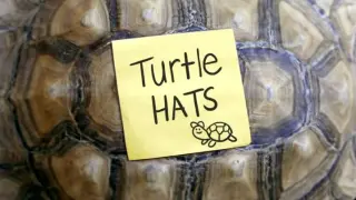 Clarence (Ep30) Turtle Hats