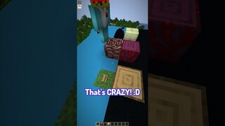 Minecraft Dimension Telepathy 5