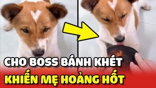 Phản ứng HOẢNG HỐT của mẹ khi thấy con Sen cho Boss ăn BÁNH KHÉT 😂 | Yêu Lu