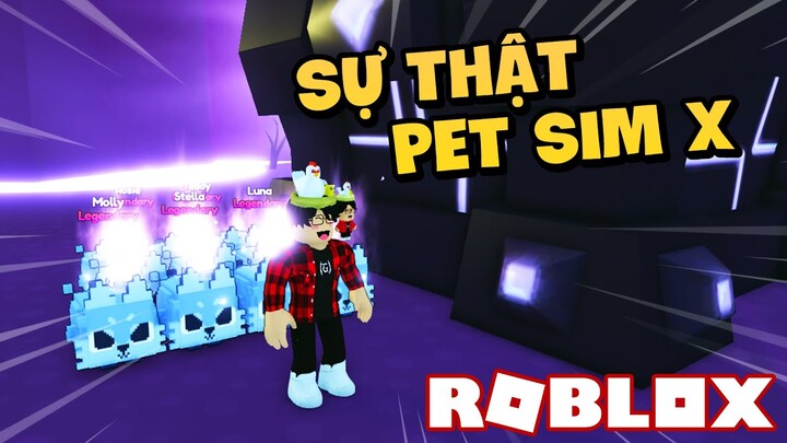 Roblox - Một Vài Sự Thật Phát Hiện Được Trong Pet Simulator X!