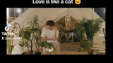EP 6 🇰🇷🇹🇭LOVE IS LIKE A CAT