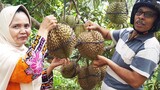 Makan Durian Super Dengan Madu | ASMR DURIAN WITH HONEY (STICKY EATING SOUNDS) ASMR INDONESIA