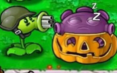 【pvz/拟人】小伙因不满逼站限流遂怒水视频（拟叔注意