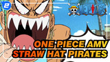 One Piece AMV
Straw Hat Pirates_2