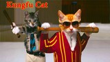 Thú Cưng TV | Mèo  Kungfu #3 | mèo thông minh vui nhộn | Pets funny cute smart dog