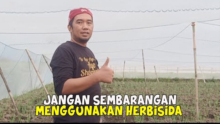 Hati Hati Menggunakan Herbisida Pratumbuh