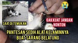 Astagfirullah Anak Kucing Ini Alat kelaminya Sudah Habis Di Makan Belatung..!