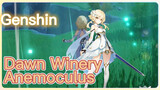 Dawn Winery Anemoculus