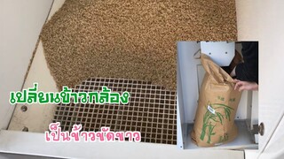 วิธีสีข้าวกล้องให้เป็นข้าวขัดขาว ของคนญี่ปุ่น Nanami happy family