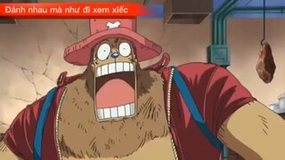 Đánh nhau mà như đi xem xiếc #onepiece #anime