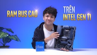 Khác BUS RAM trên CPU Intel GEN 11??? | Bất ngờ đấy!