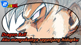 [Dragon Ball]Aku menyukainya sepanjang hidupku_2