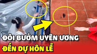 Đôi BƯỚM UYÊN ƯƠNG lại TÁI XUẤT trong LỄ CƯỚI của cặp đôi HẠNH PHÚC 😍 | Yêu Lu