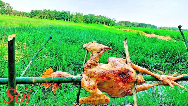 Gà Nướng Ngũ Vị Trên Cánh Đồng Xanh | Grilled Chicken On Green Field.