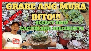 SECRET SHOP | Cactus and Succulent Shop | Murang Bilihan sa Laguna | Wholesale Prices |  Care Tips