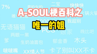 【A-SOUL梗百科】005-唯一的姐