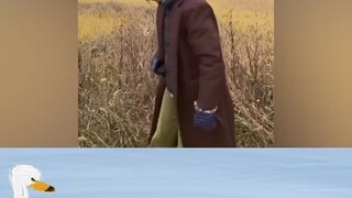 After watching it, I still can't figure out which is more important, posture or expression managemen