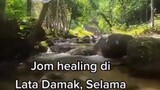 Lata Damak, Kampung Ulu Damak, Sungai Bayor, Selama, Perak.