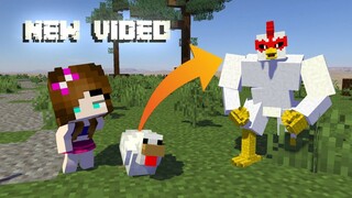 Chicken BUFF = Minecraft Animation