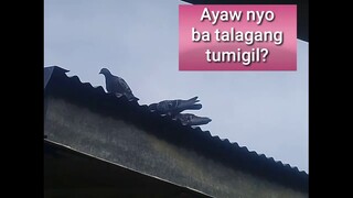 AKIN SIYA!