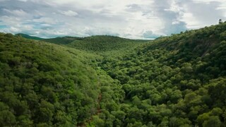 Hành Tinh Xanh EP 5 [Sub Việt]