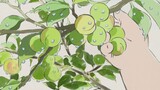 Animasi|Buah dan Sayuran Lezat dari Ghibli
