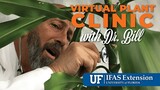 The Virtual Plant Clinic With Dr. Bill August 17, 2023