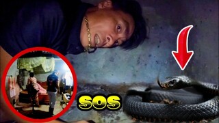 Cuộc Gọi Khẩn Cấp Trong Đêm Của 2 Mẹ Con Phát Hiện Rắn Hổ Mang Bò Trên Giường|Phương QN