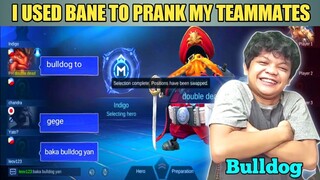 PRANK MY TEAMMATES MLBB ( BULLDOG )