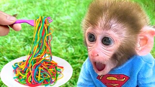 Monkey Baby Bon Bon eats Noodle with puppies and ducks eat watermelon