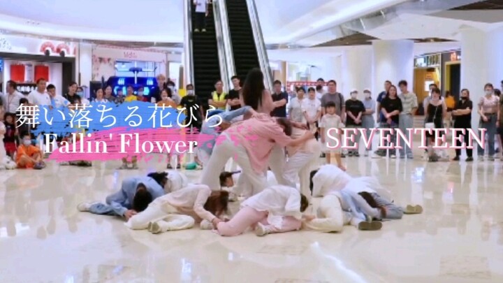 绝美路演落花 SEVENTEEN - 舞い落ちる花びら(Fallin' Flower)温州偶像主义随机舞蹈