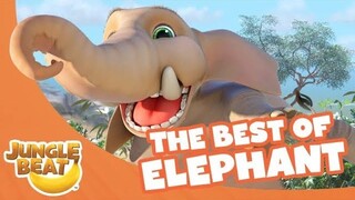 The Best of Elephant - Jungle Beat Compilation [Full Episodes]