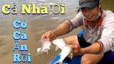 #392.Thả Lưới Cá Mè Chế Biết MÓN ĂN Đơn Giãn Mà Ngon.release a net of sesame fish that can cook food