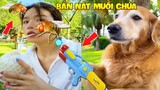Thú Cưng Vlog | Gâu Đần Phá Hoại Mẹ #7 | Chó thông minh vui nhộn | Smart dog funny pets