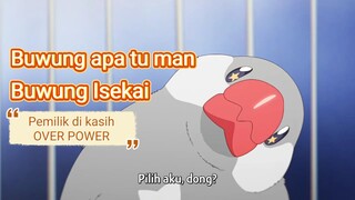 Adopsi Burung kawaiii yang ternyata dari Isekai 😨