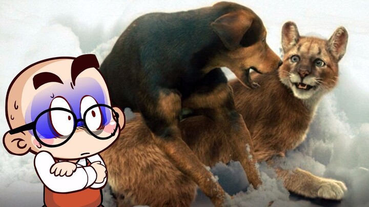 [Tang Tang] Petualangan paling menakjubkan, komentar lucu "A Dog's Way Home"