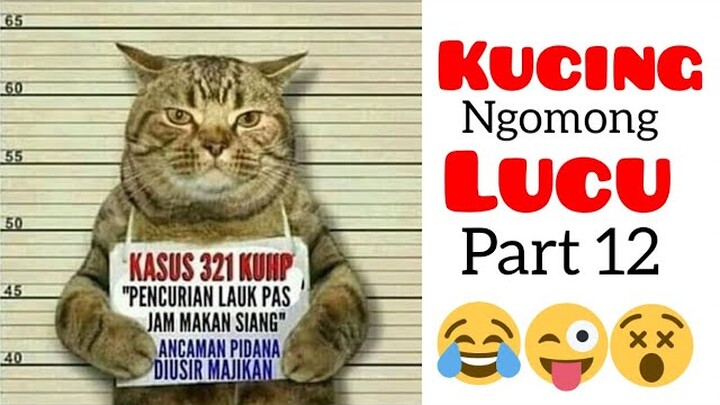 Kucing ngomong lucu part 12|Video lucu kucing|bikin ketawa