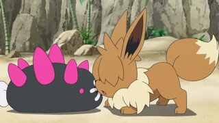 This Eevee is really good!