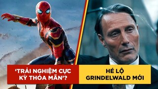 Phê Phim News: SPIDER-MAN: NO WAY HOME nhận cơn mưa lời khen | FANTASTIC BEASTS 3 tung TRAILER