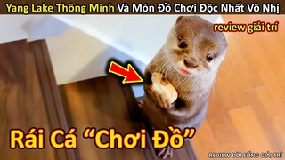 Rái Cá đáng yêu bảo vệ món đồ yêu thích bằng cả sinh mạng cực thú vị || Review Giải Trí Đời Sống