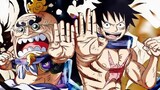 One Piece - New Will of D Member Revealed