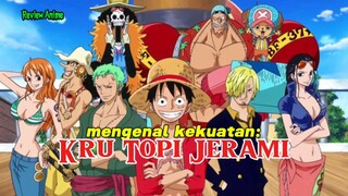 Mengenal kekuatan Kru topi jerami || one piece