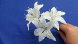 Tutorial membuat bunga lili dengan tisu toilet, sederhana, indah dan realistis, kamu juga bisa menco