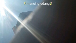 mancing undang lagi